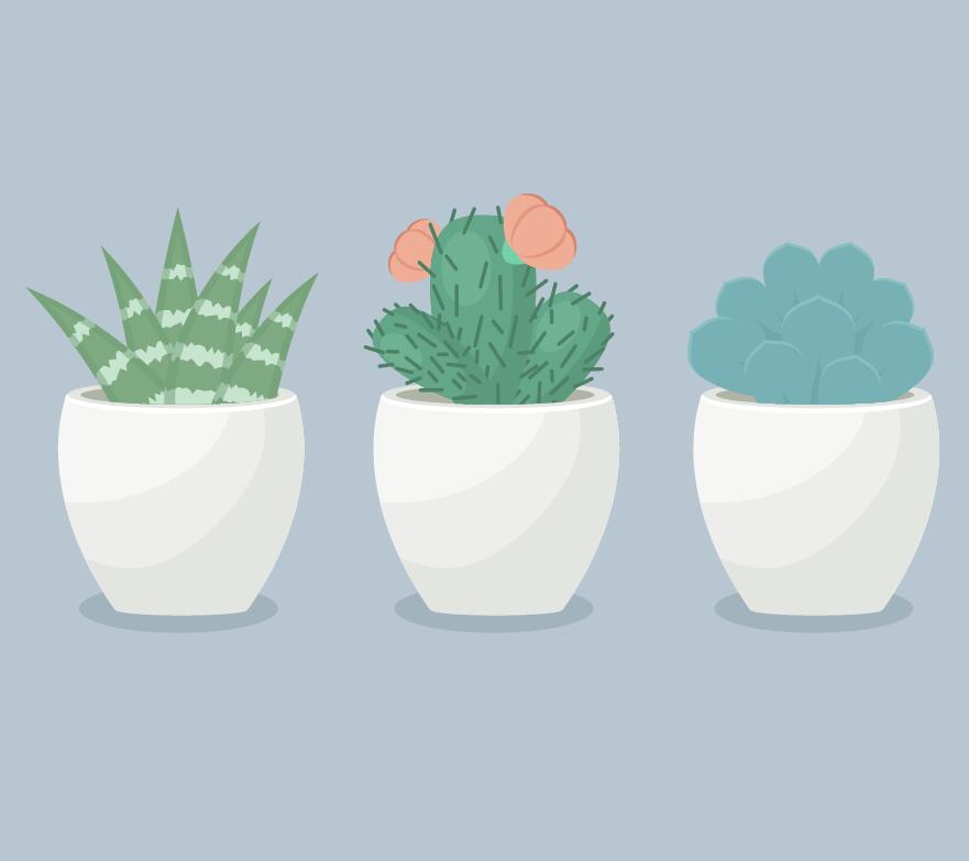 HTML5 SVG绘制植物盆栽特效动画代码